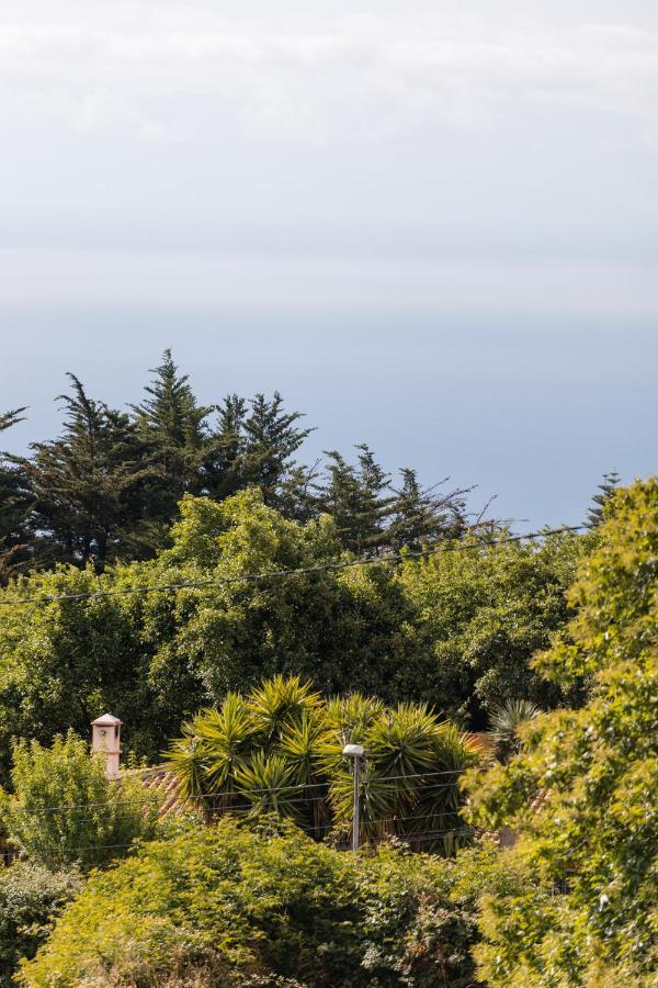 Maison Mialon: Country House Amidst Of Nature La Esperanza  Екстериор снимка